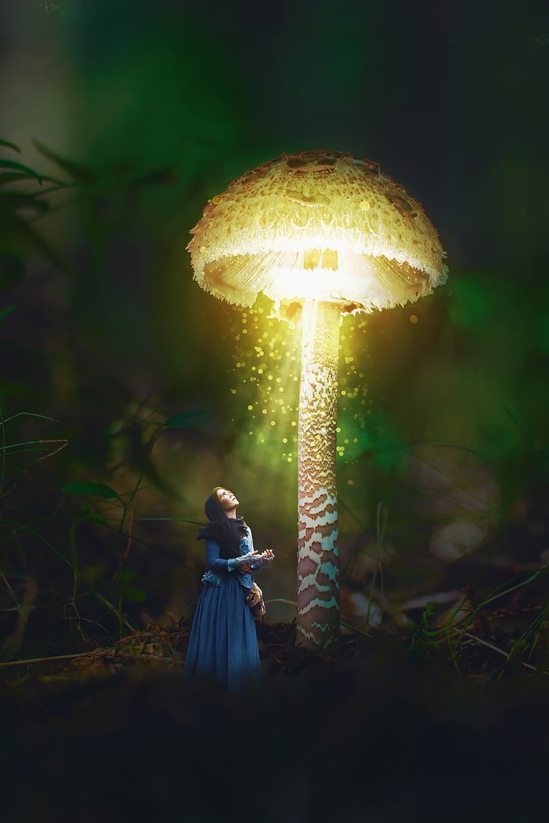 Whimsical Wonder