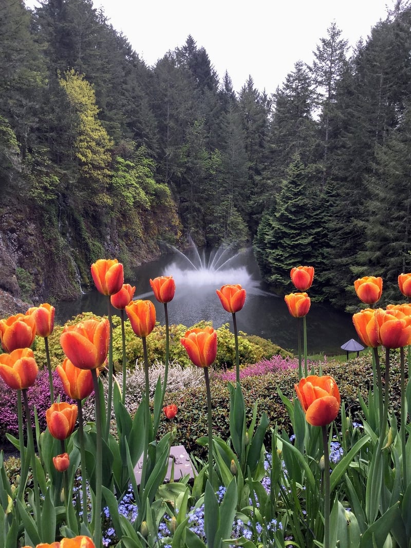 Butchart Gardens, Victoria